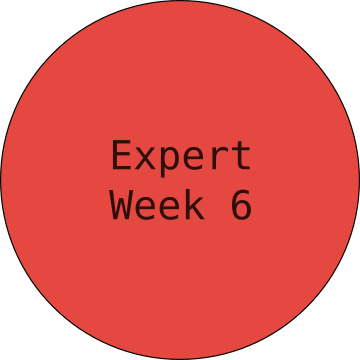 Expert August 5-9 2019