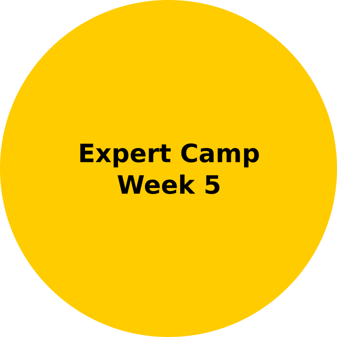 Expert Camp August 05 - 09 2024