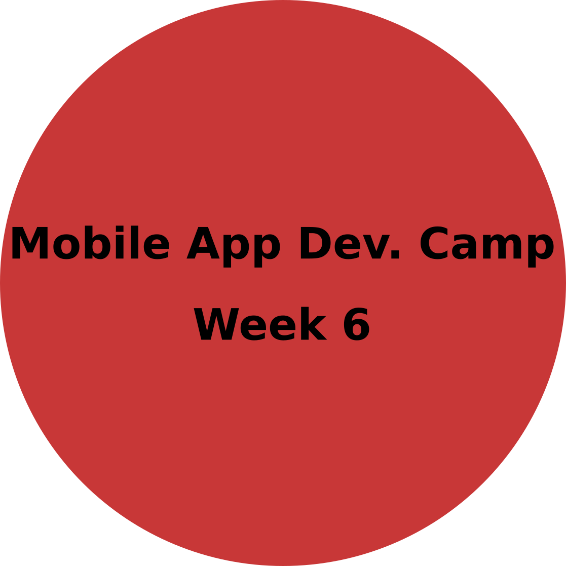 Mobile App Development Camp August 05 - 09-2024